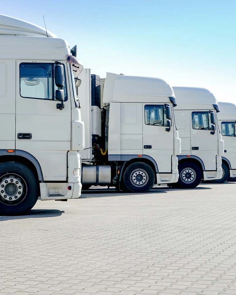 Noleggia mezzi moderni, sicuri e sostenibili